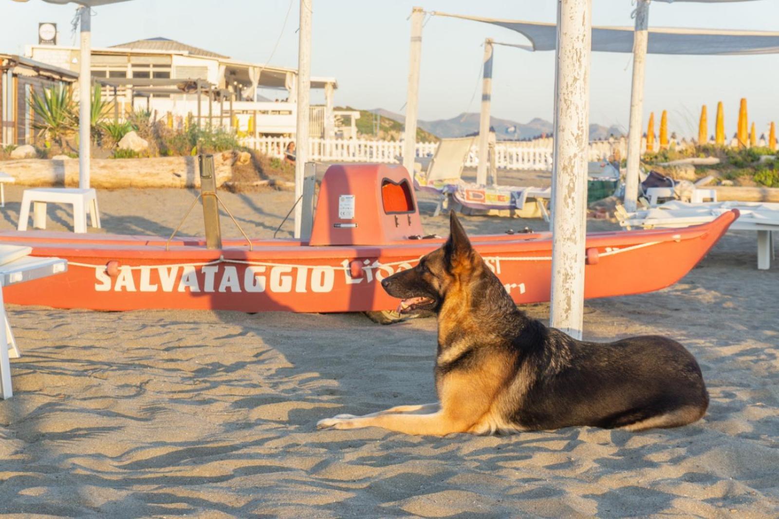 Baron Beach Hotel Scauri  Esterno foto